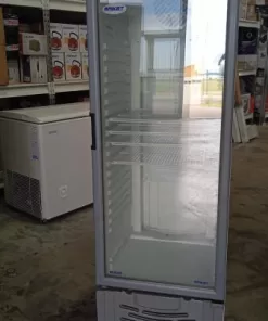 Exhibidora Vertical BRIKET Master 3000 293 litros / Usado